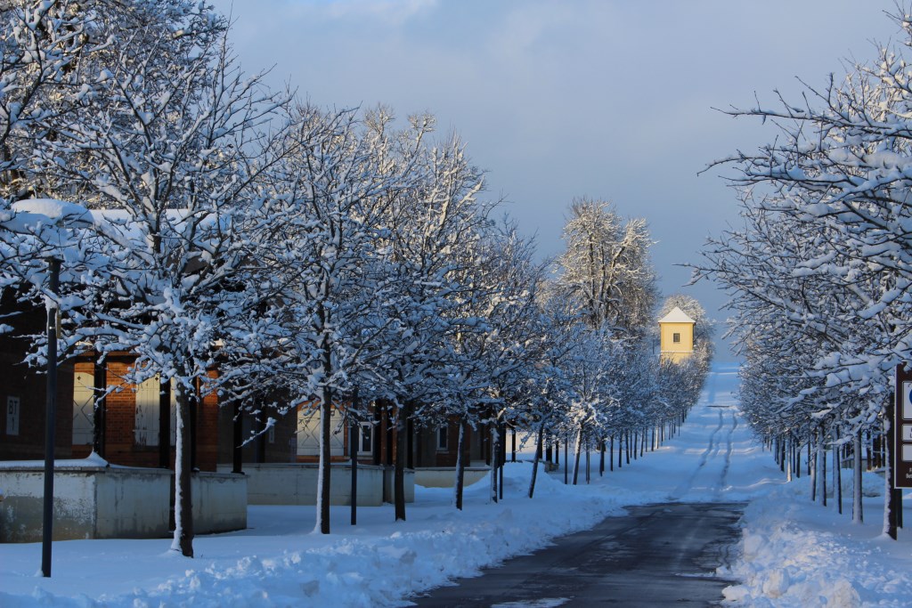 Albgut Altes Lager im Winter